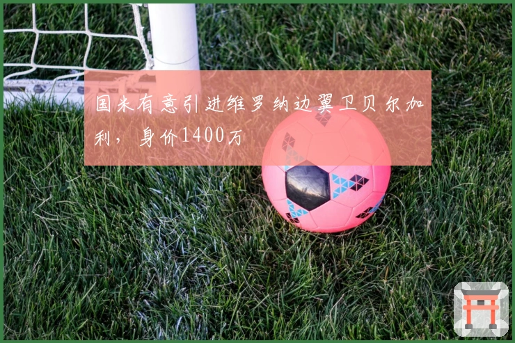 国米有意引进维罗纳边翼卫贝尔加利，身价1400万