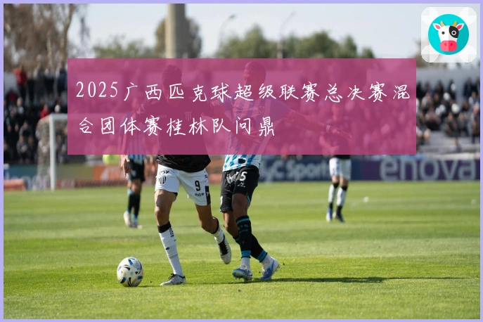 2025广西匹克球超级联赛总决赛混合团体赛桂林队问鼎